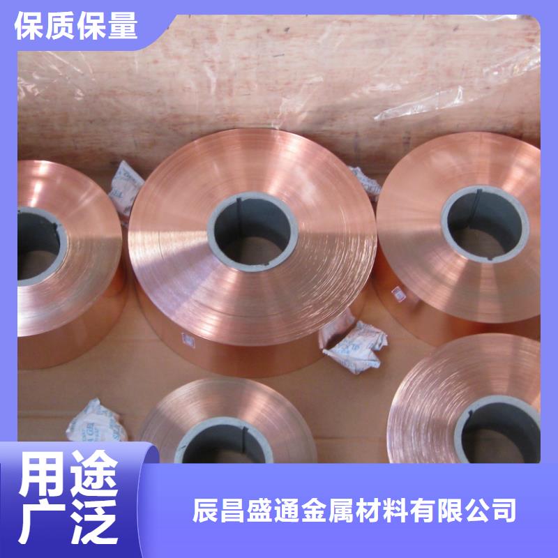 【0.3*100接地紫铜带】来厂考察