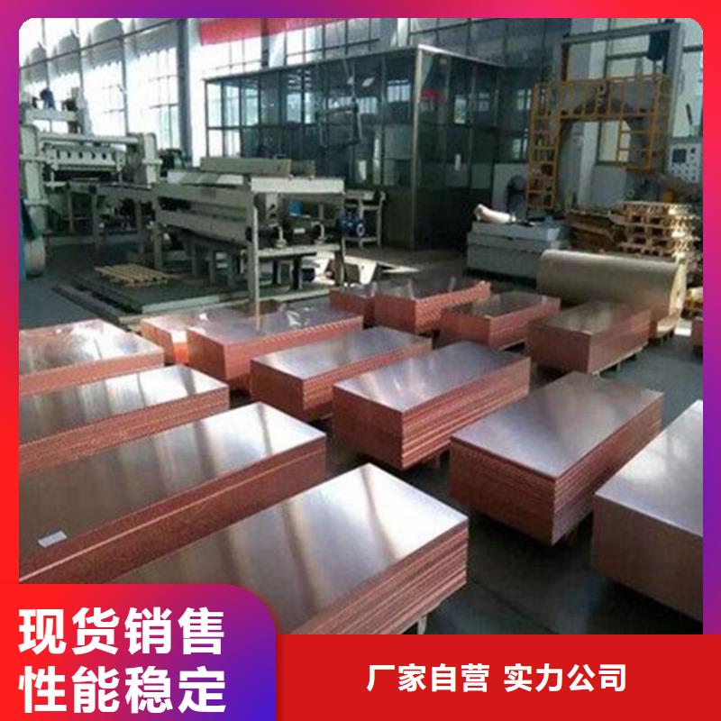 【等电位接地铜带30*3】来厂考察