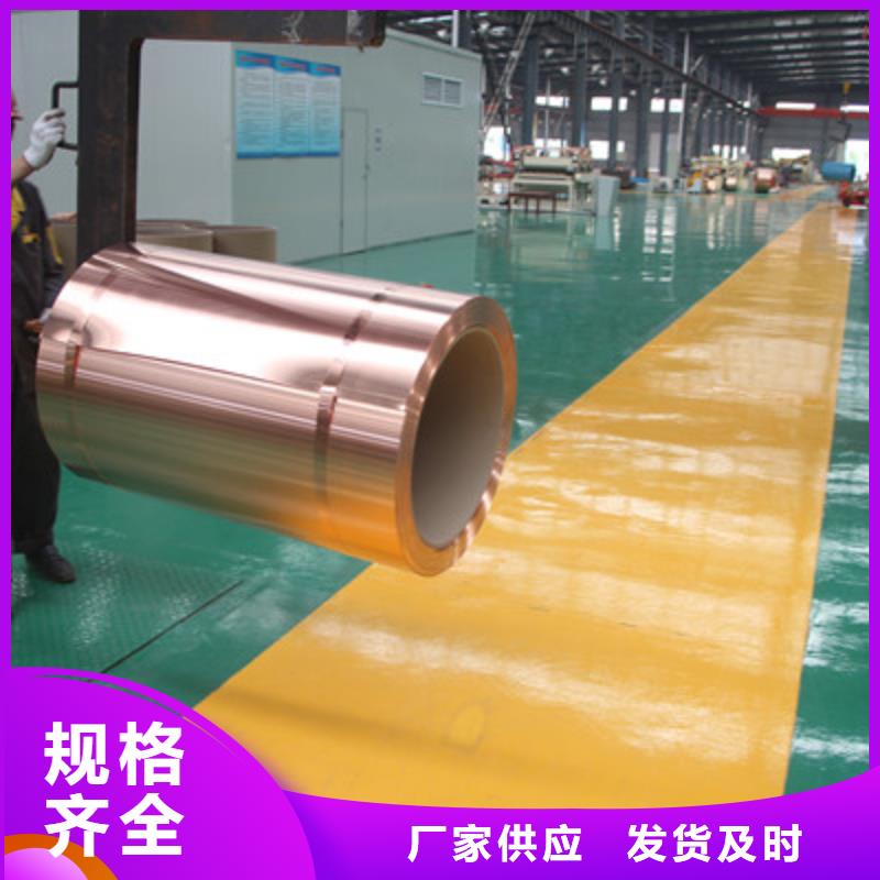 【地网铜带30*3】上门门安装