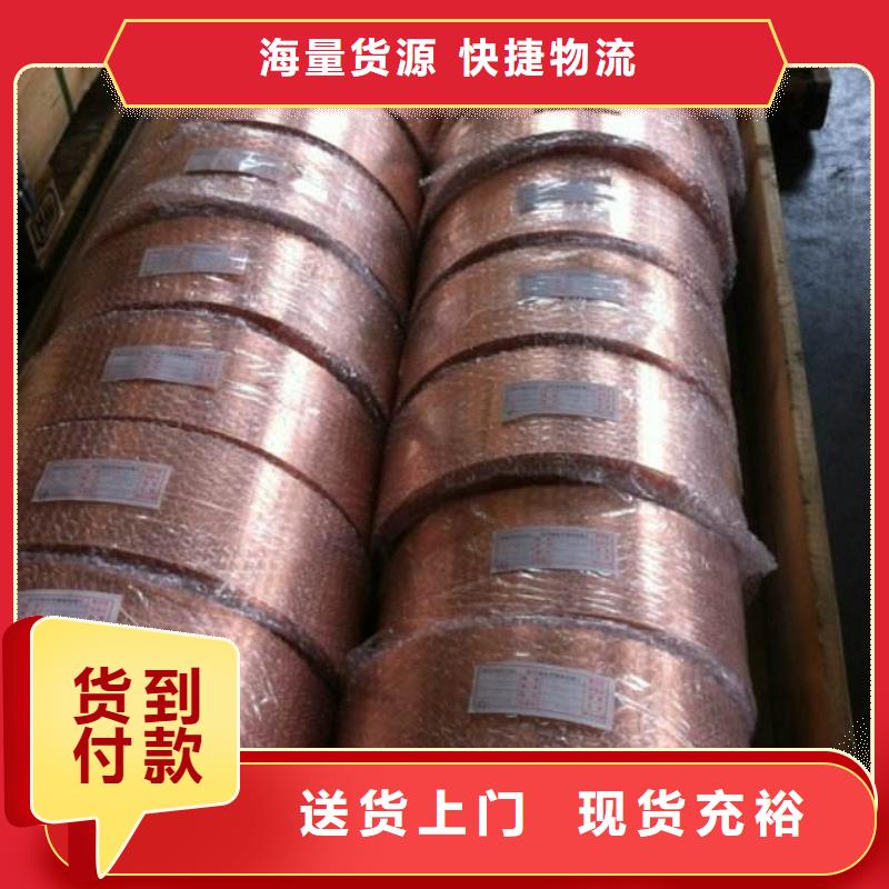 【静电铜排】来厂考察