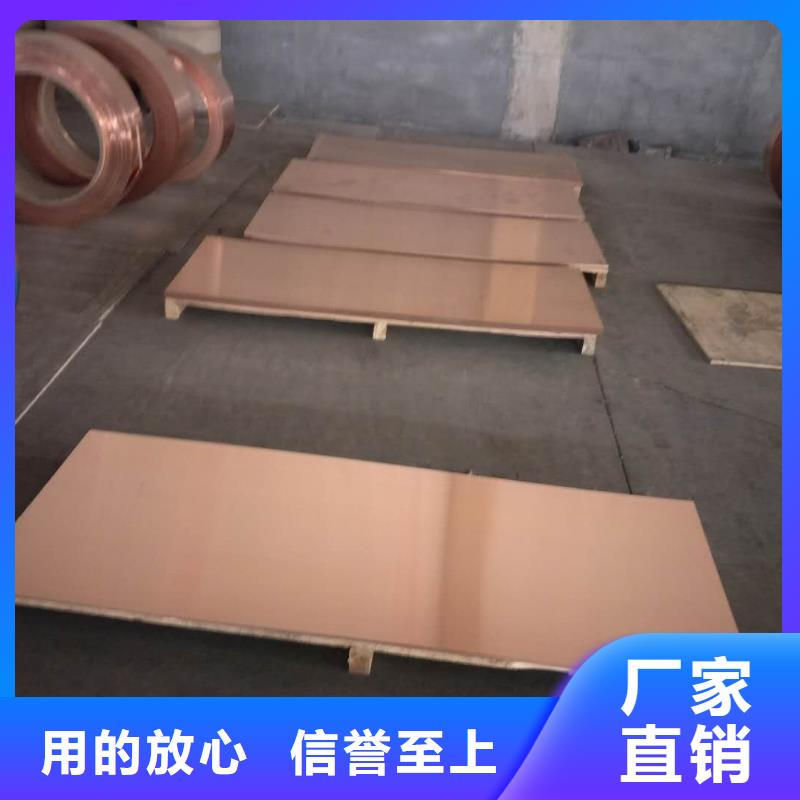 紫铜板【紫铜排】一个起售