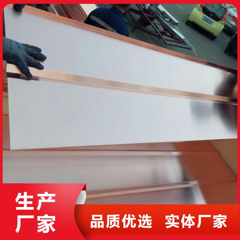 【地网铜带30*3】上门门安装