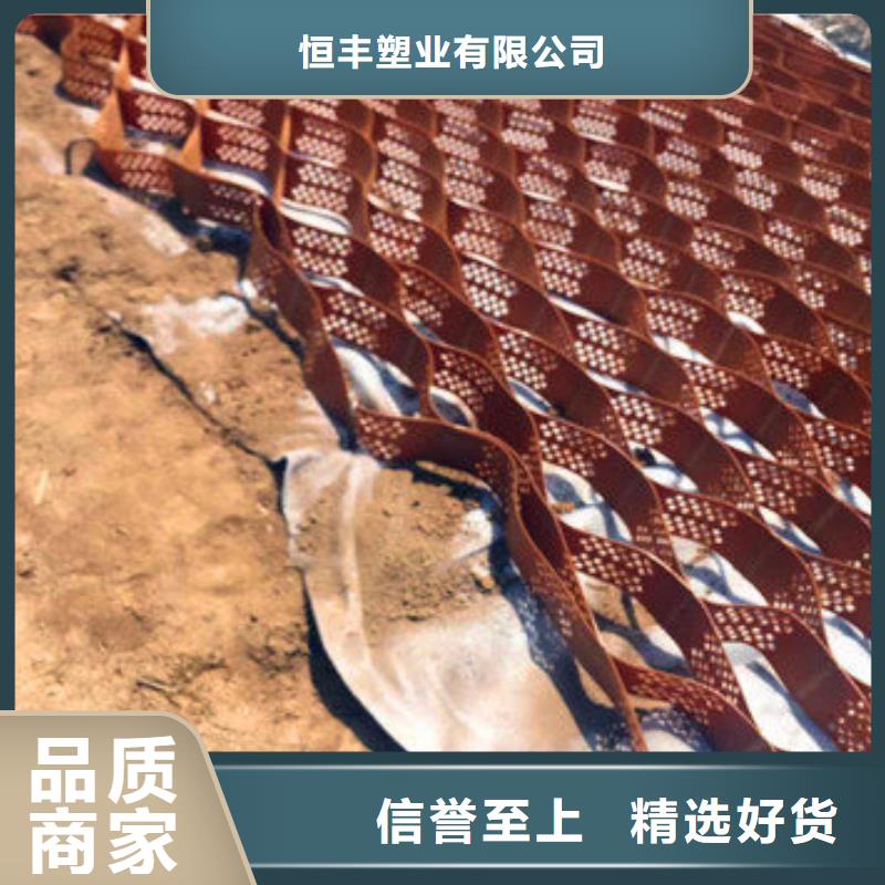 塑料土工格室，塑料土工格室