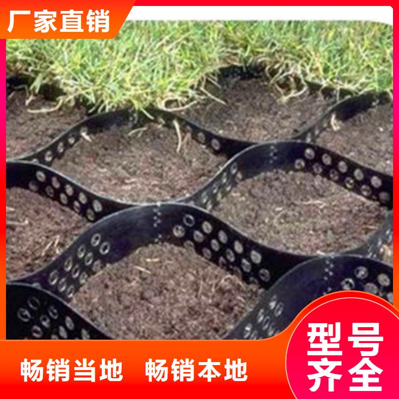 土工格室工程生产基地