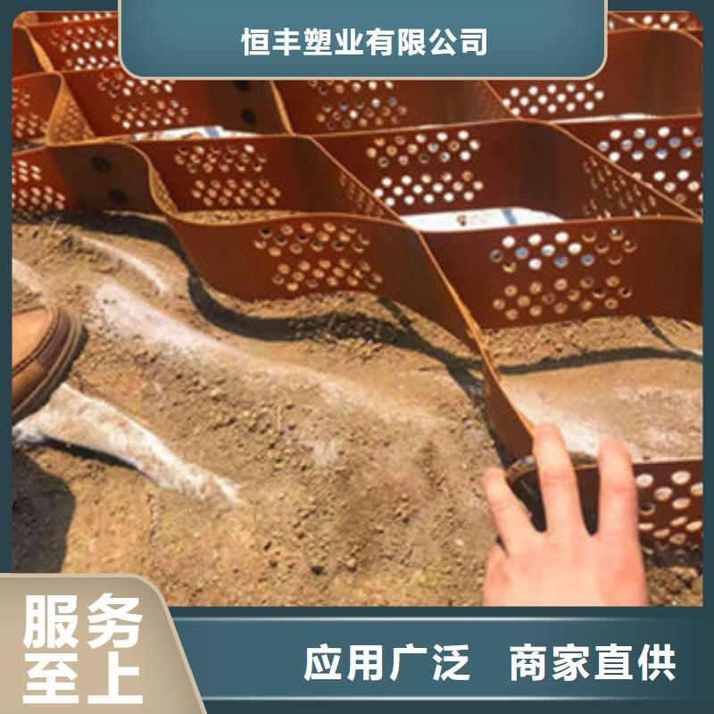 现货供应蜂巢格室的作用_精选厂家
