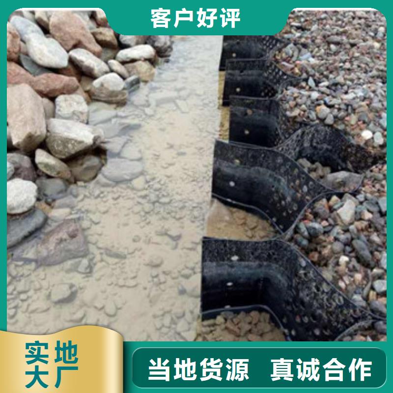 蜂巢约束系统
