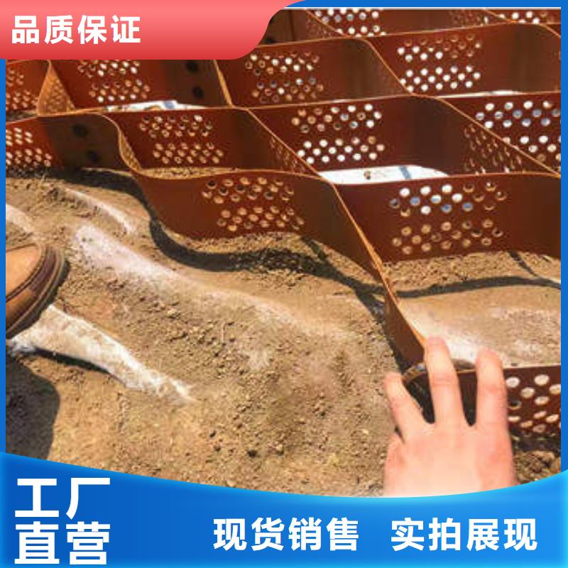 新华土工格室哪有卖