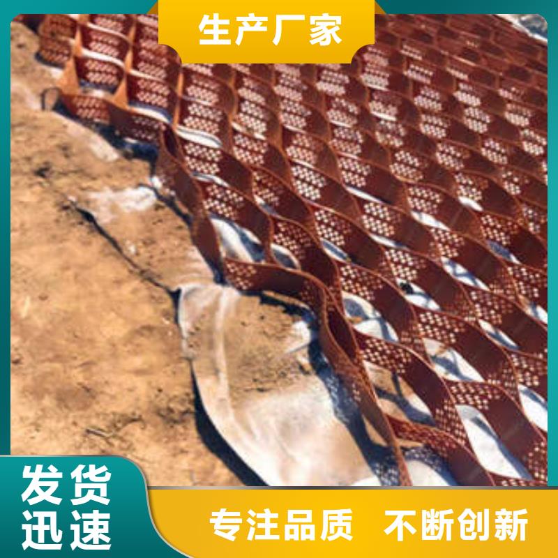 TGGS土工格室厂家
