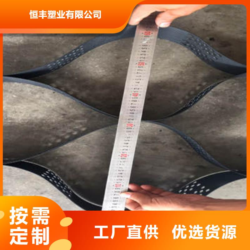 TGGS土工格室厂家