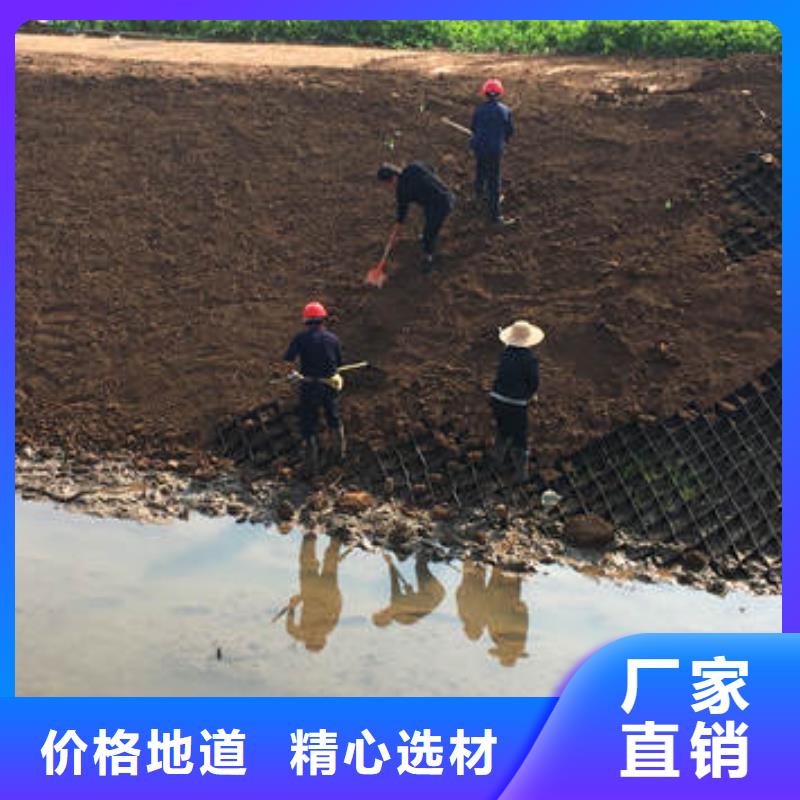 蜂巢格室玻纤格栅精选厂家好货