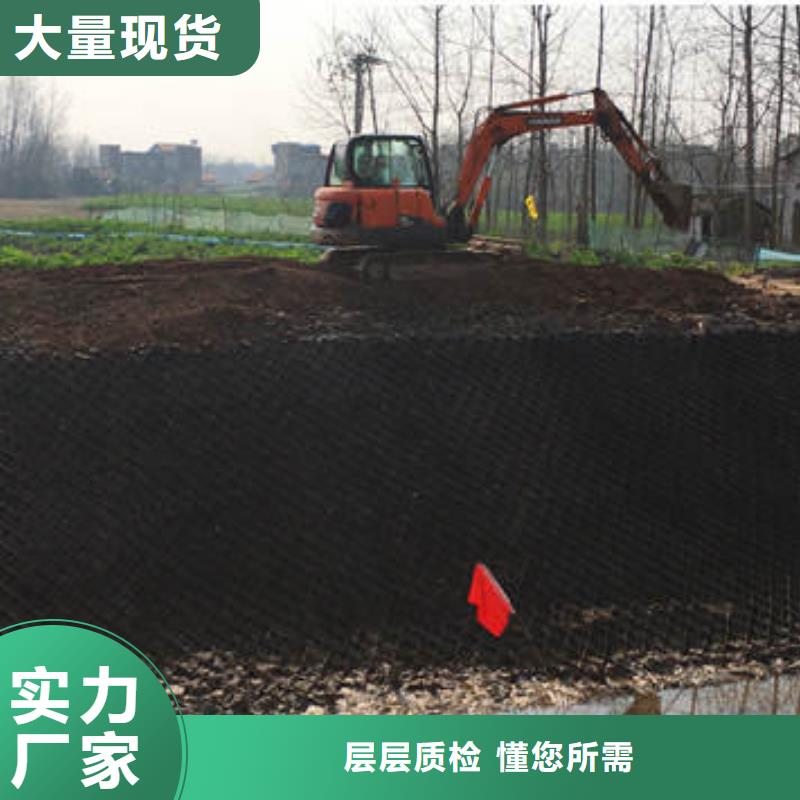 巢室护坡