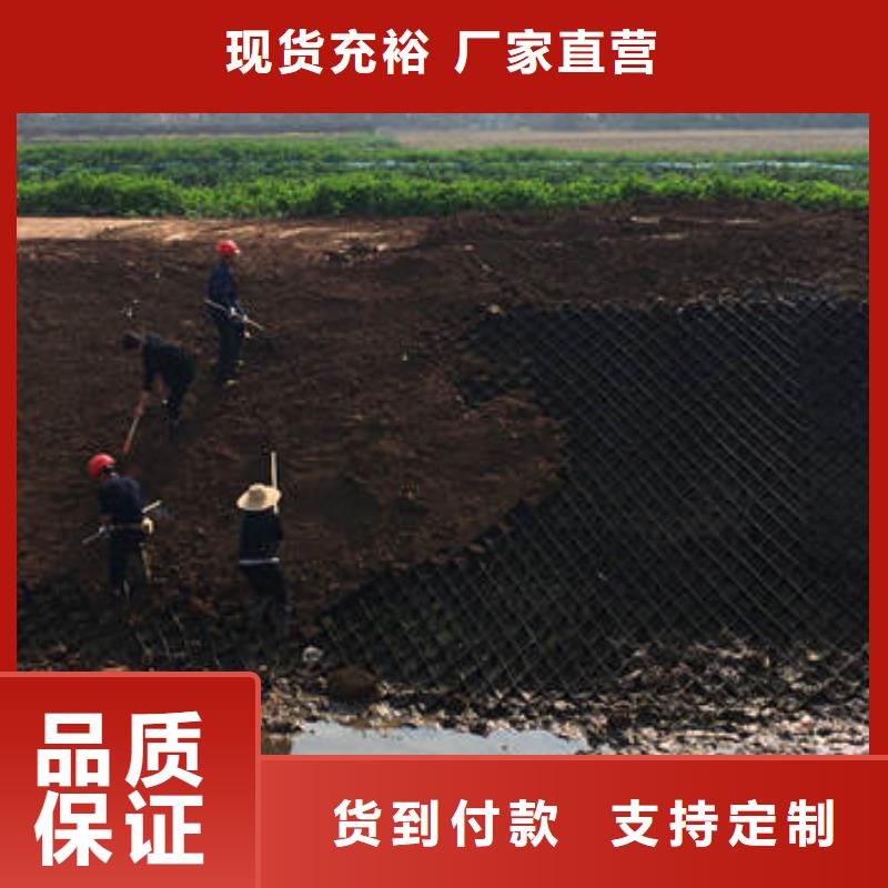 防渗土工布