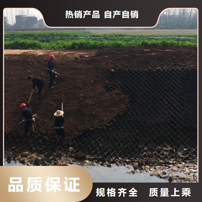 HDPE土工格室，HDPE土工格室