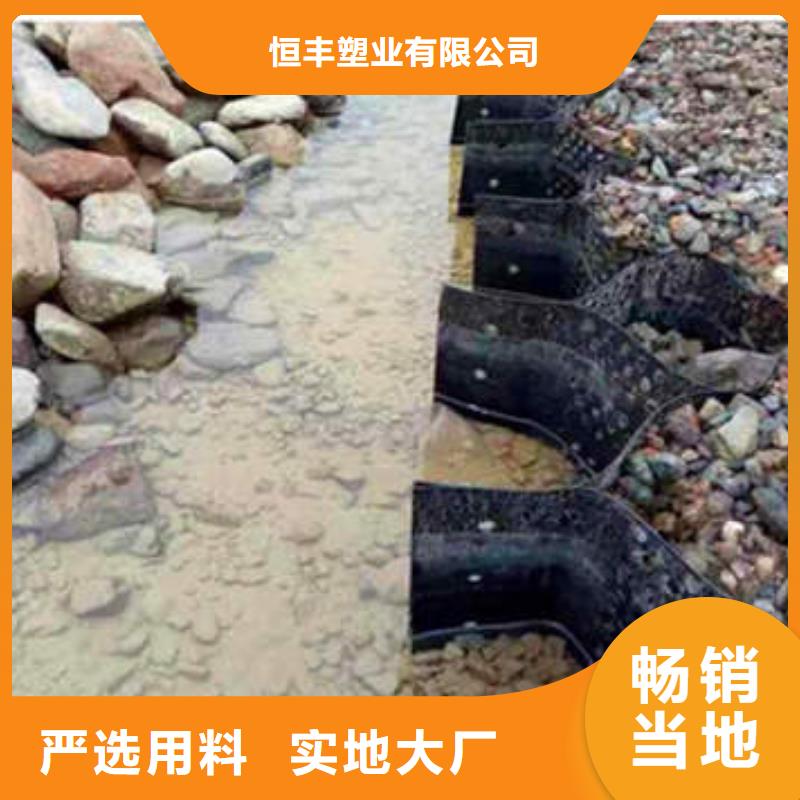 TGGS土工格室