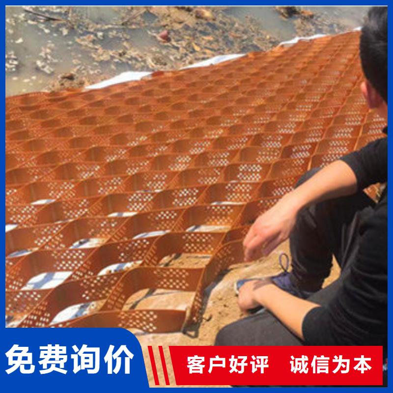 高强微蜂巢格室厂家