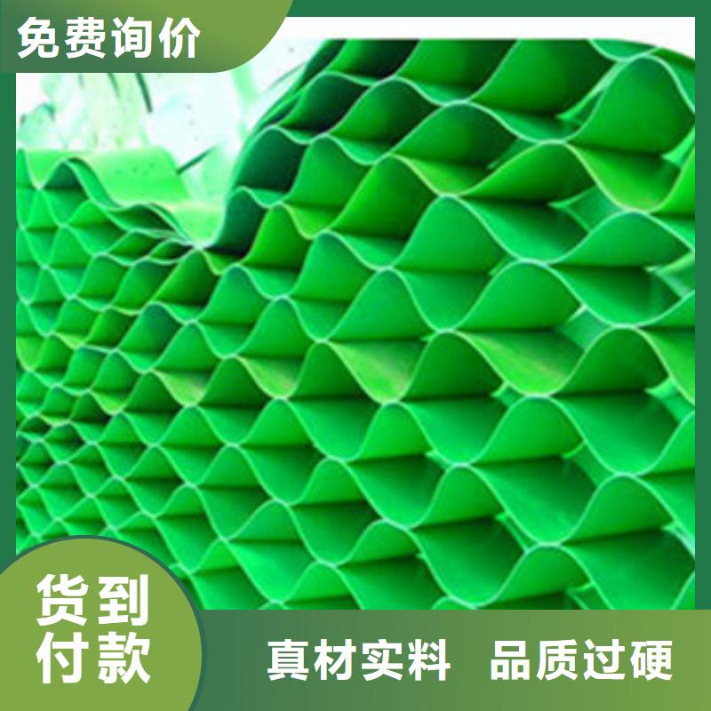蜂巢格室公司