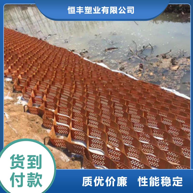 新华土工格室哪有卖