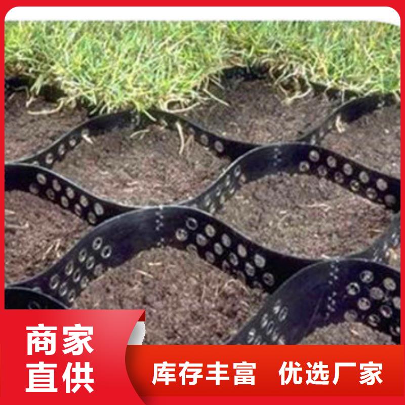 TGGS土工格室厂家