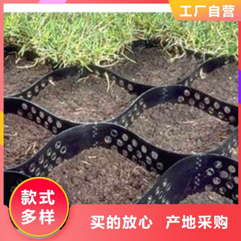 绿化透水管