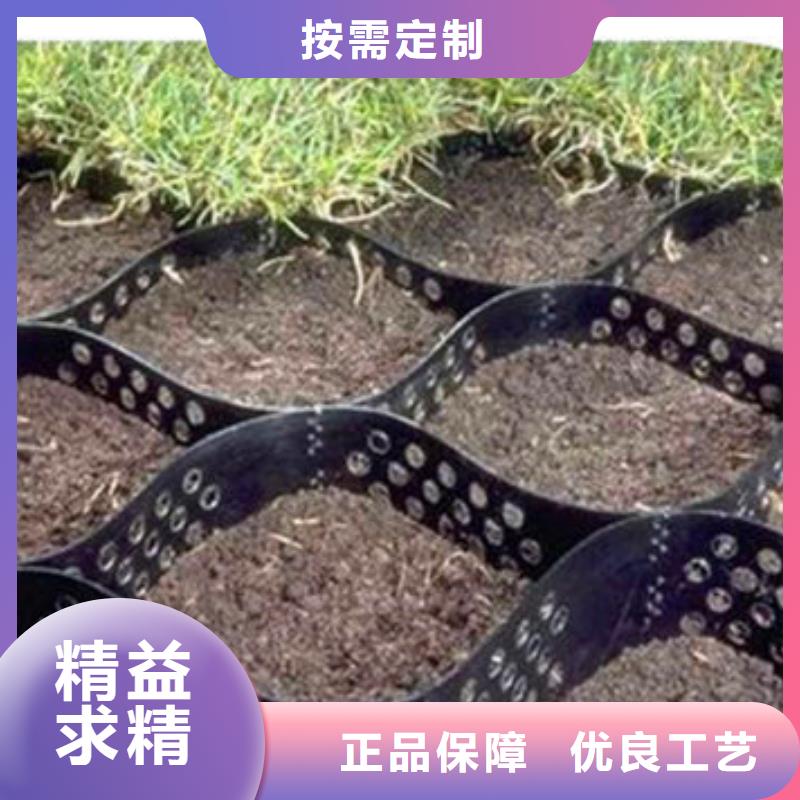 土工格室护坡-限位帽和卡扣