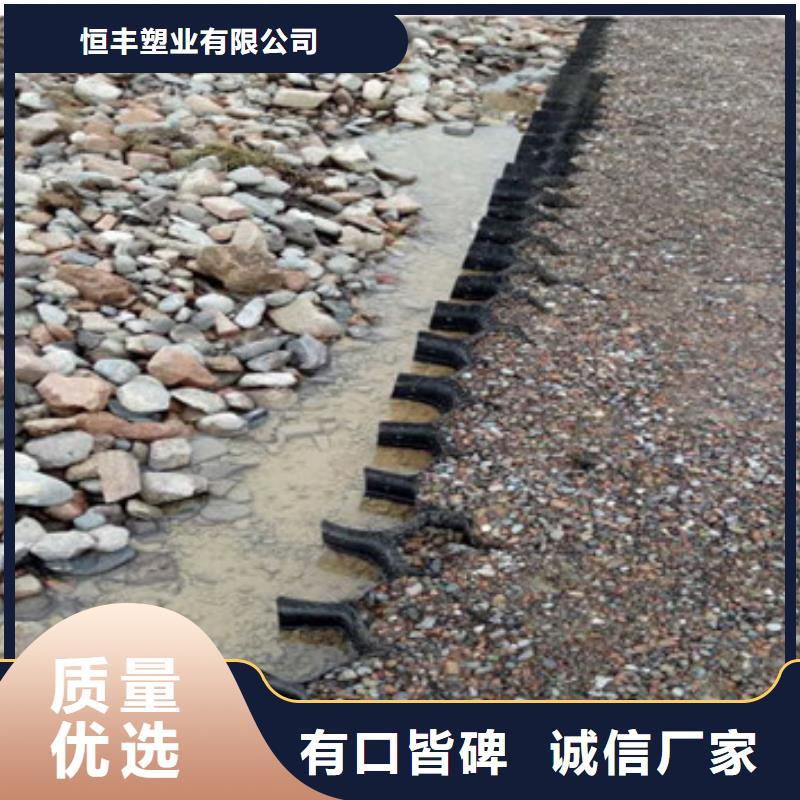 防水抗渗土工膜
