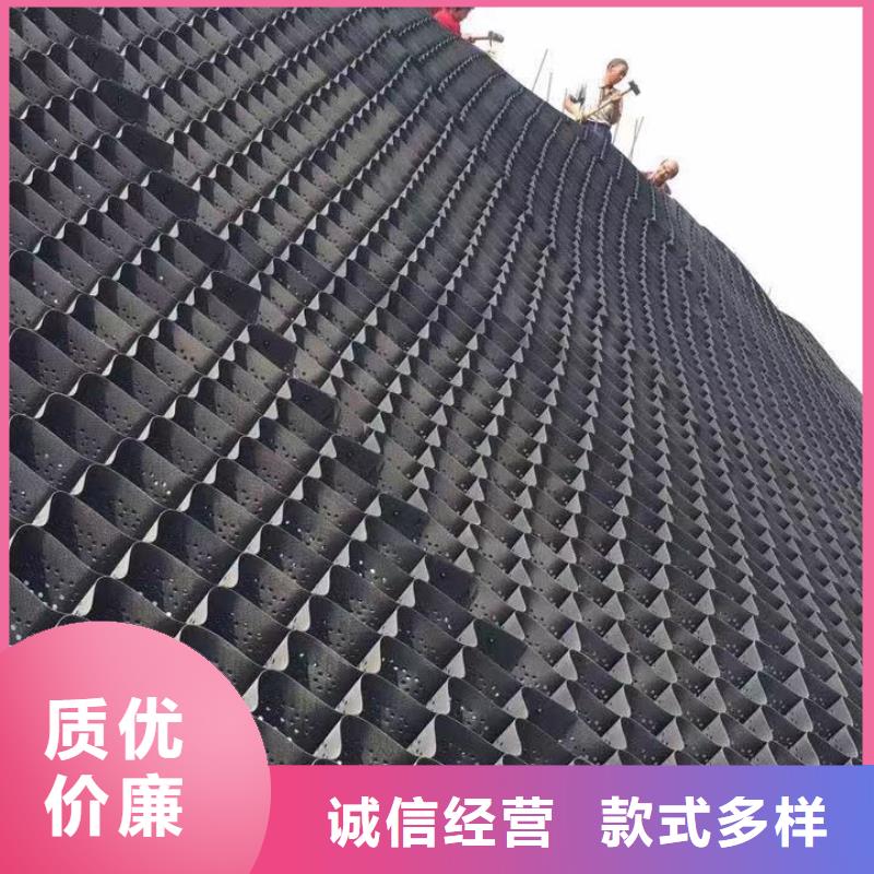 土工格室应用