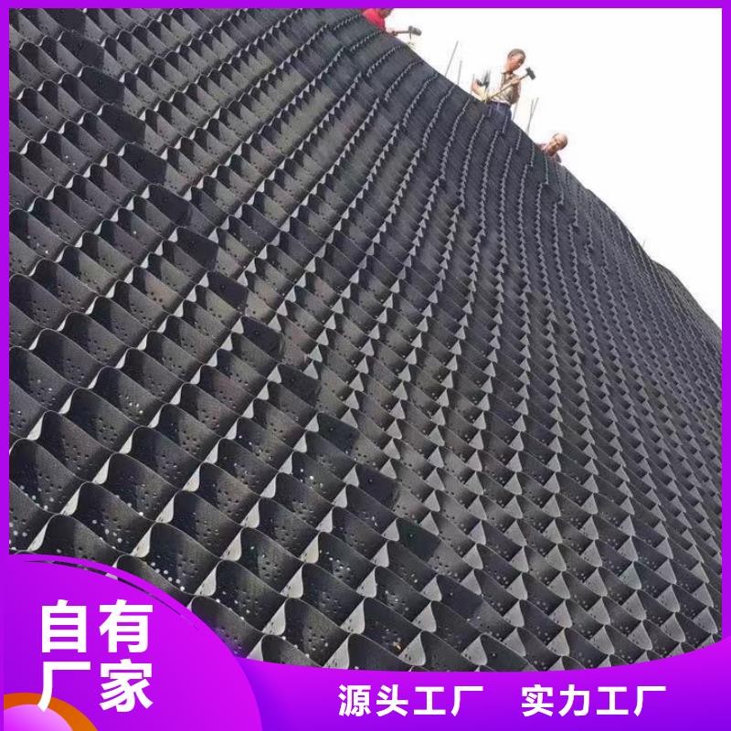 蜂巢格室，蜂巢格室
