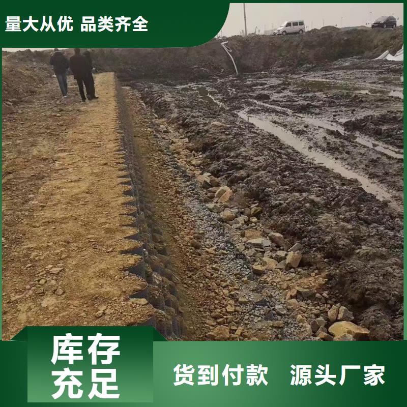土工格室应用