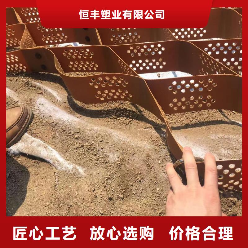 土工格室植草