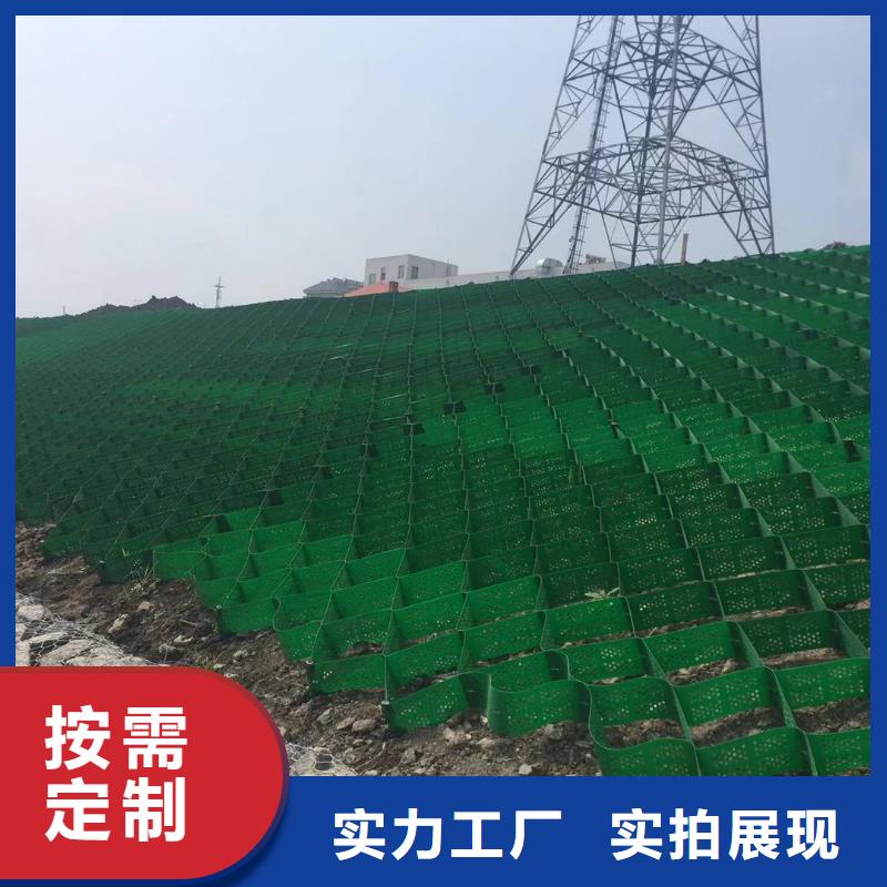 土工格室植草