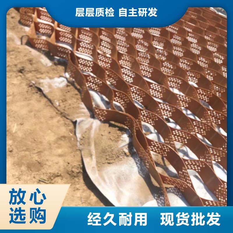 土工格室护坡-限位帽和卡扣