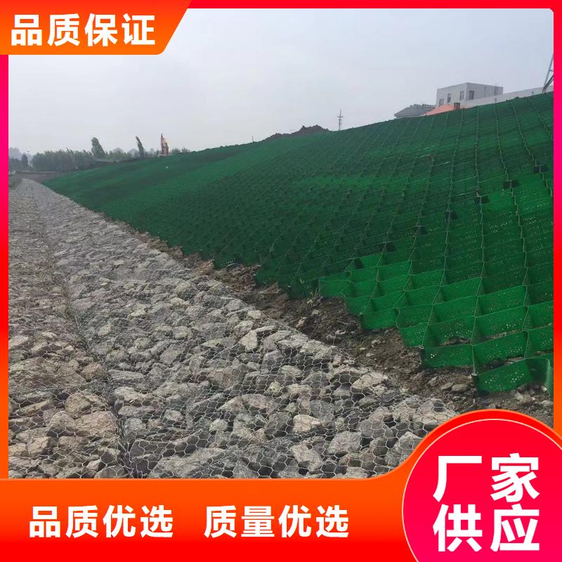 土工格室植草