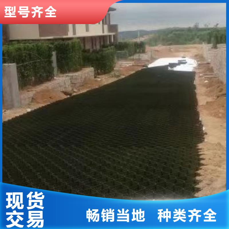 HDPE土工格室,源头厂家供应信息
