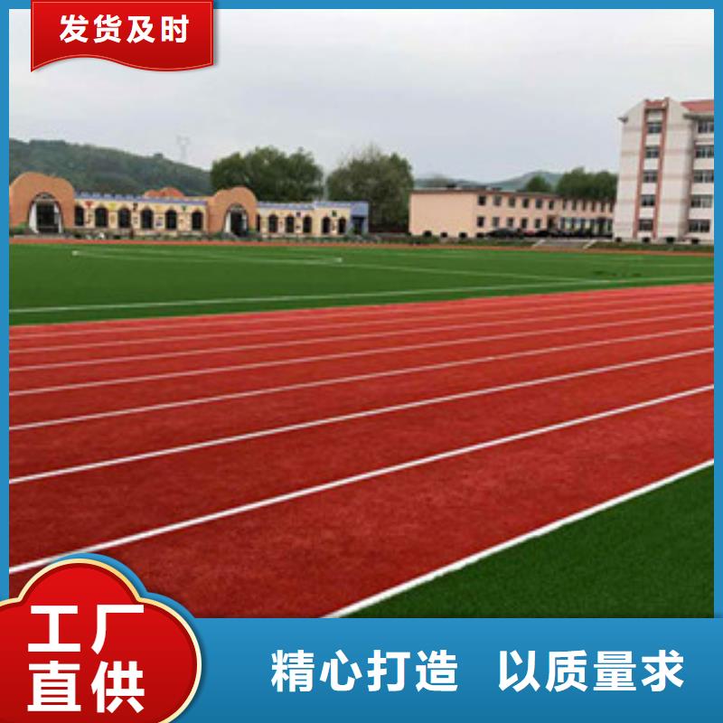 【人造草坪】体育器材为您精心挑选