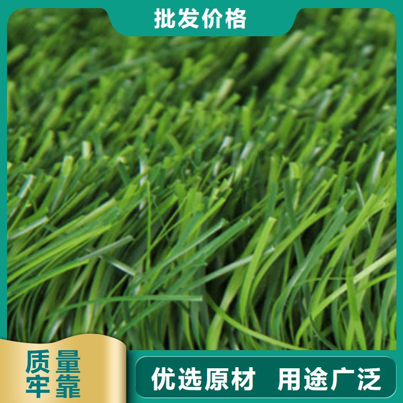 人造草坪按需定做