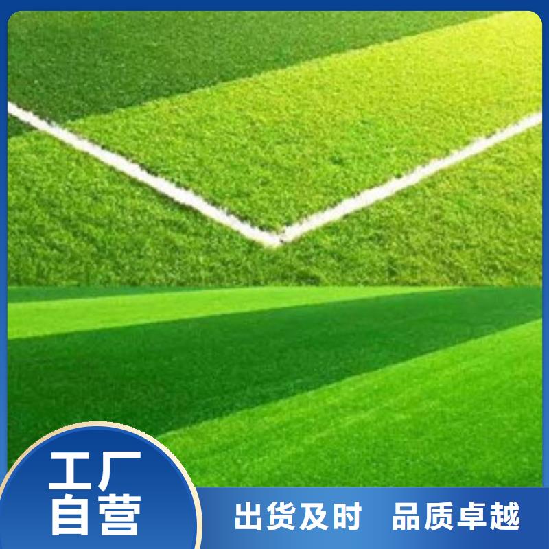 人造草坪,【硅pu球场】厂家