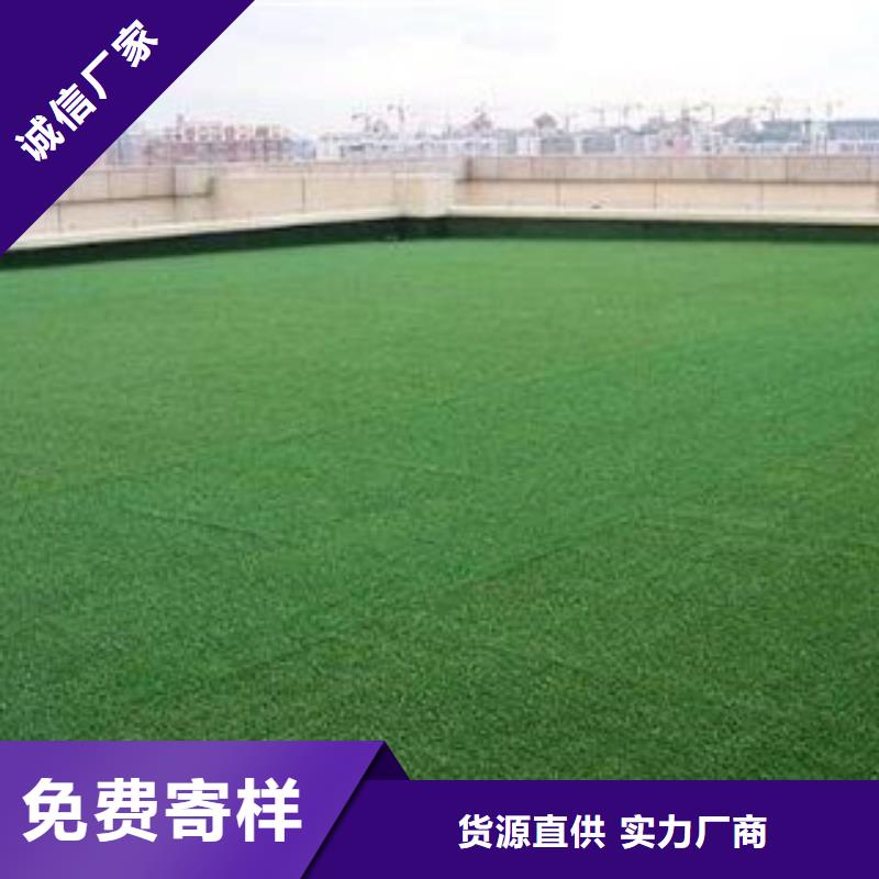 人造草坪真材实料