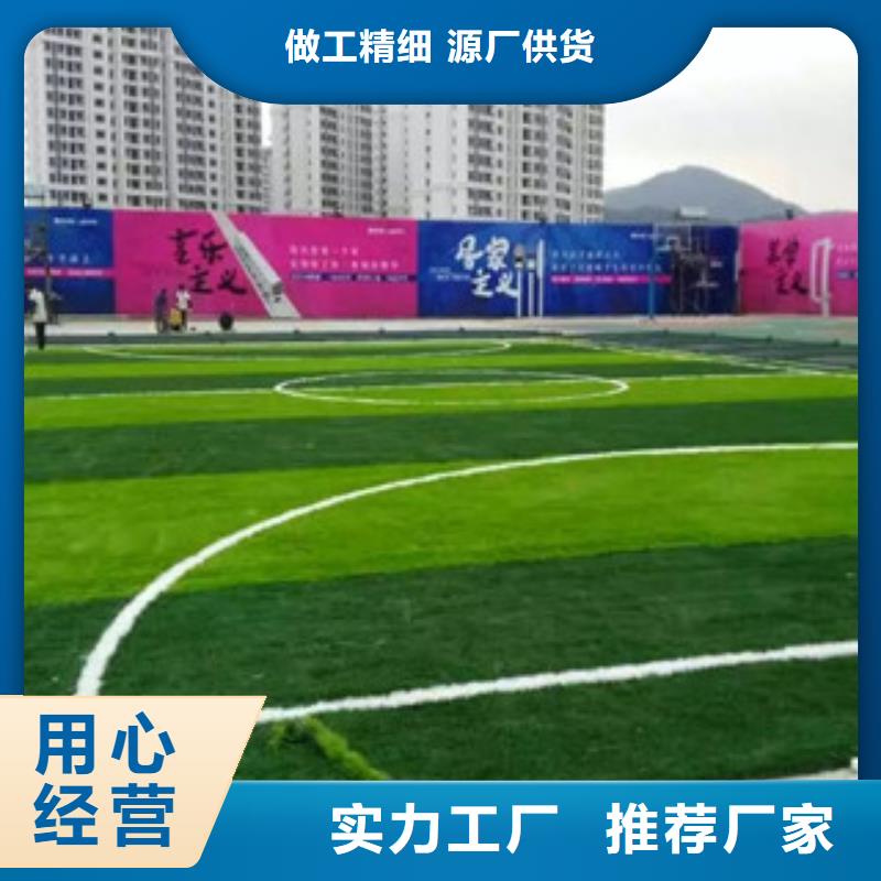 人造草坪篮球架匠心打造