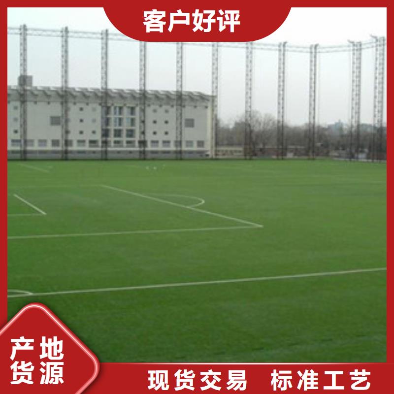 人造草坪按需定做