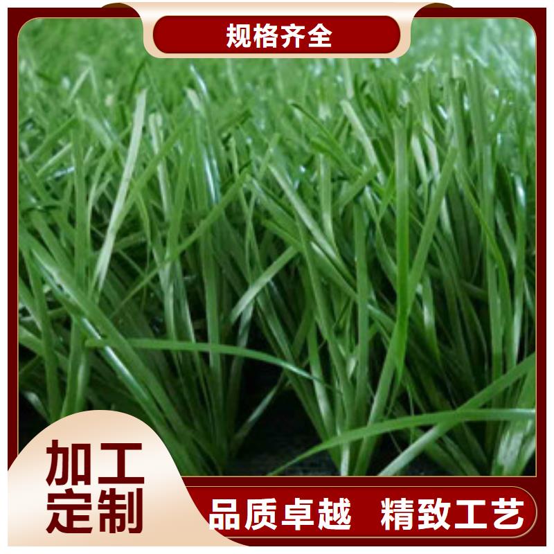 人造草坪真材实料