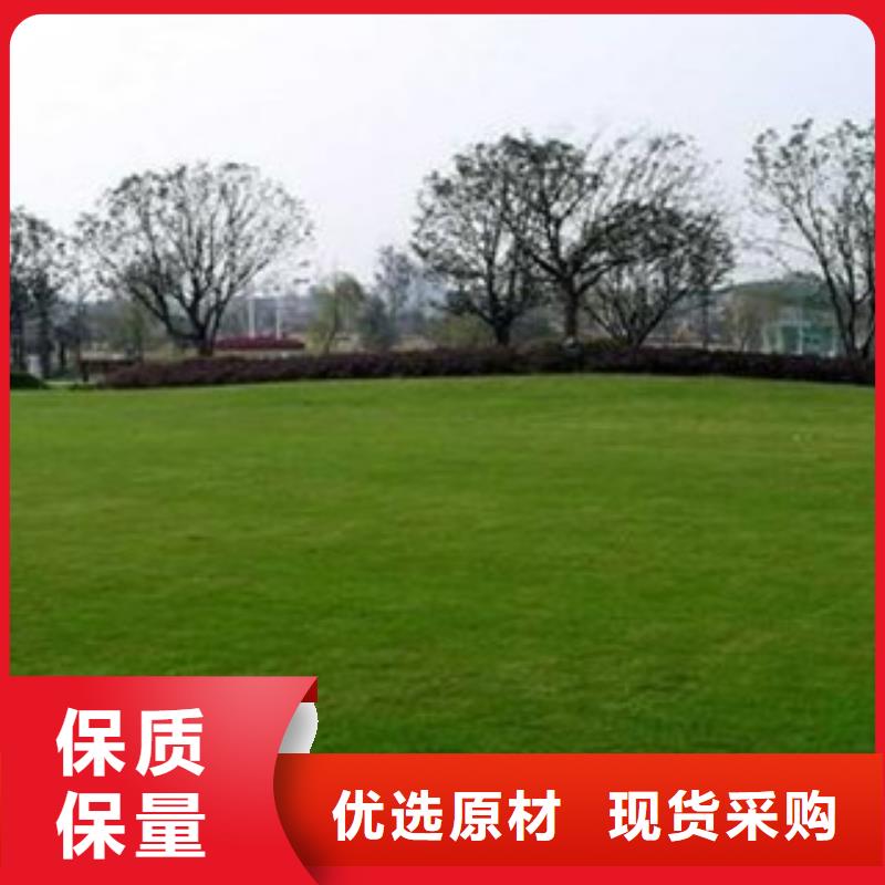 人造草坪-硅pu球场一个起售