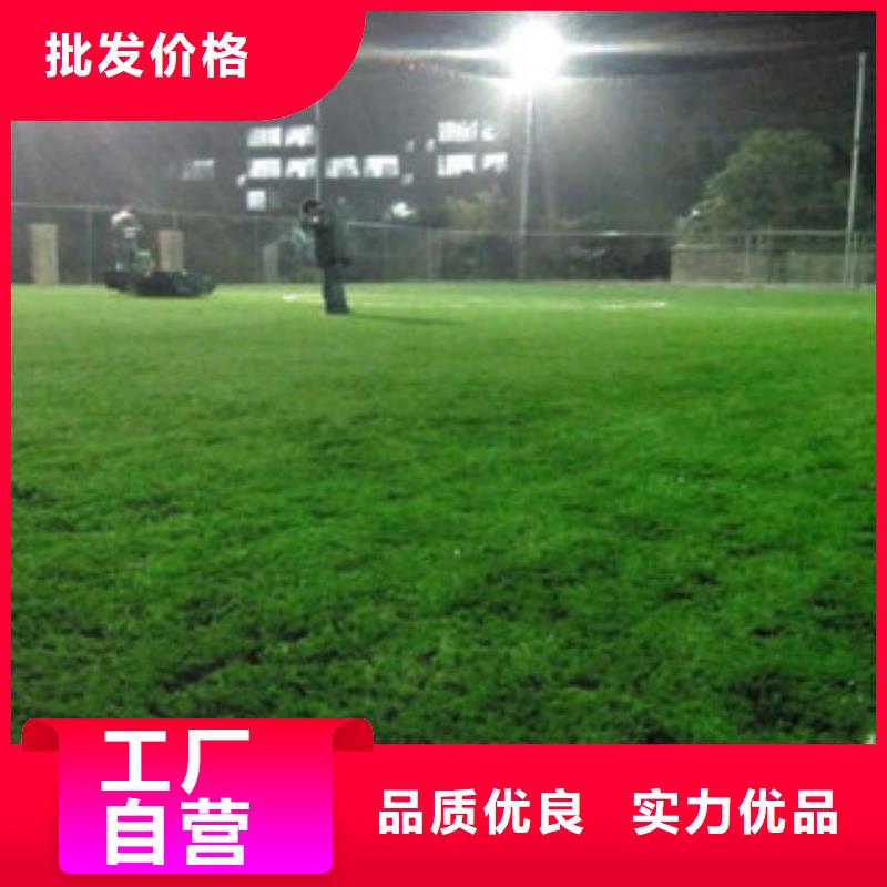 人造草坪按需定做