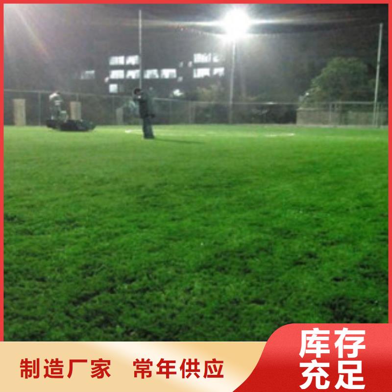 【人造草坪】体育器材为您精心挑选