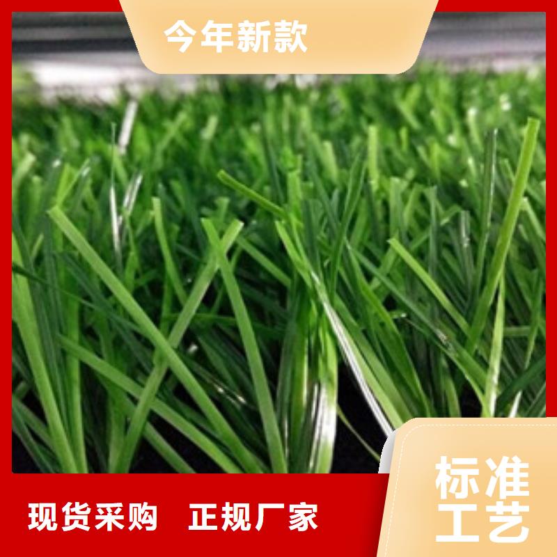 人造草坪按需定做
