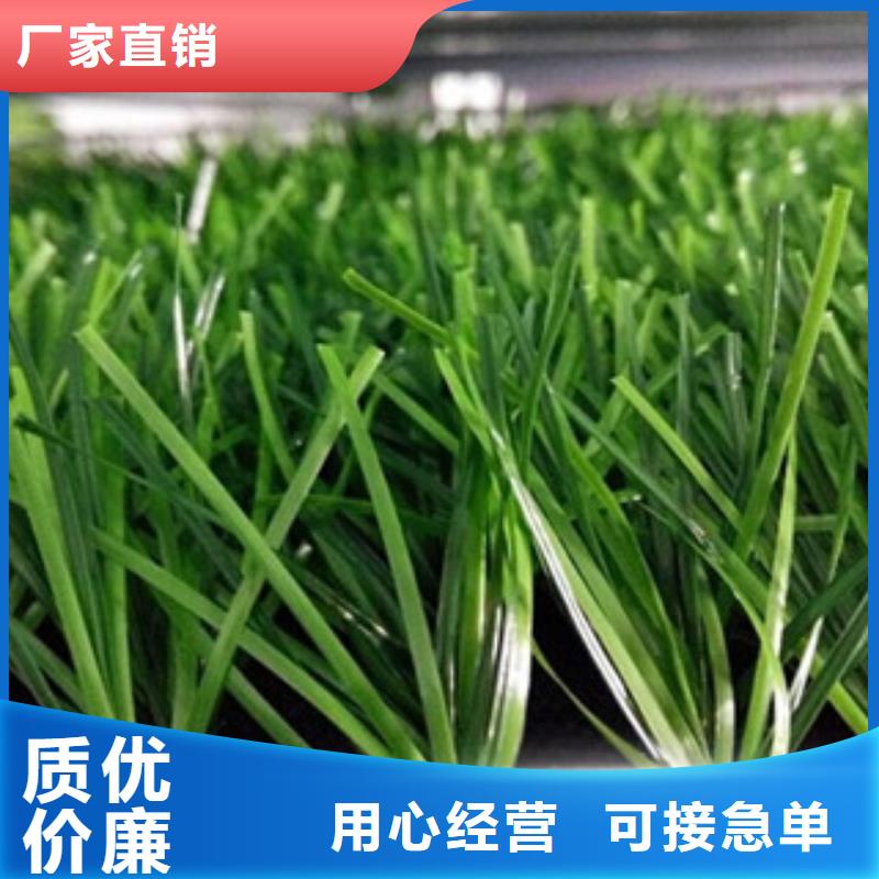 【人造草坪】体育器材为您精心挑选