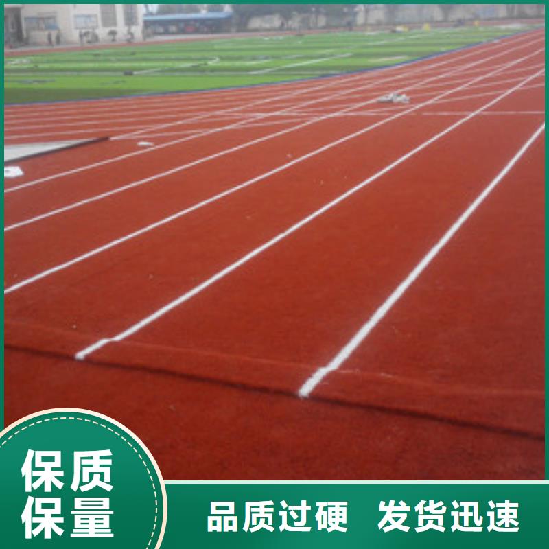 【人造草坪】体育器材为您精心挑选