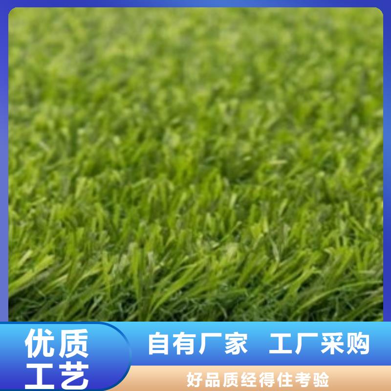 【人造草坪室外健身器材N年大品牌】