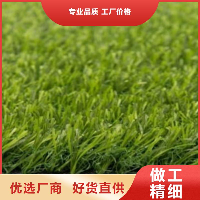 【人造草坪】体育器材为您精心挑选