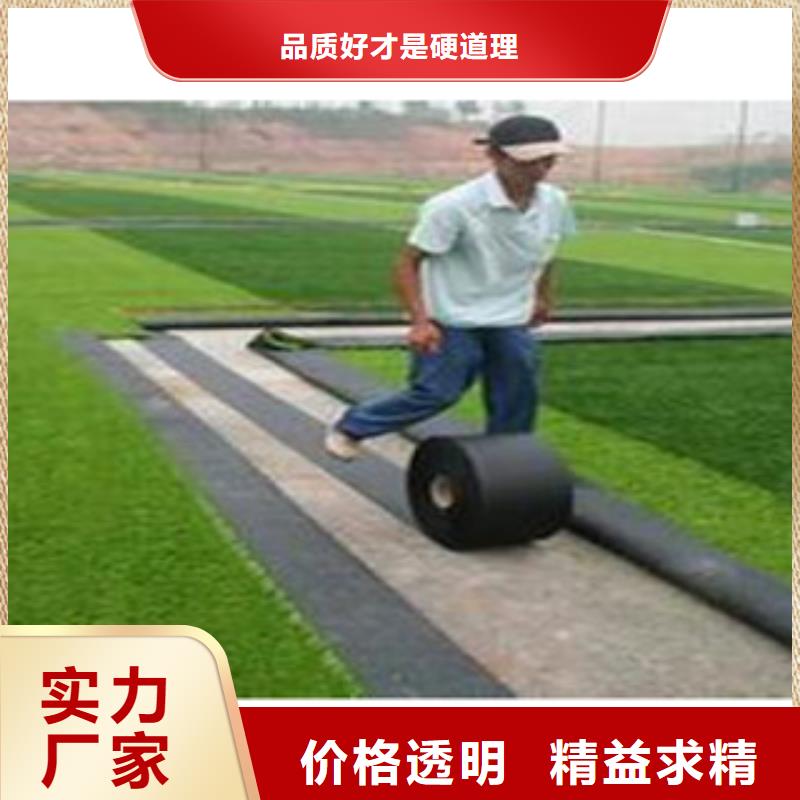 【人造草坪】体育器材为您精心挑选