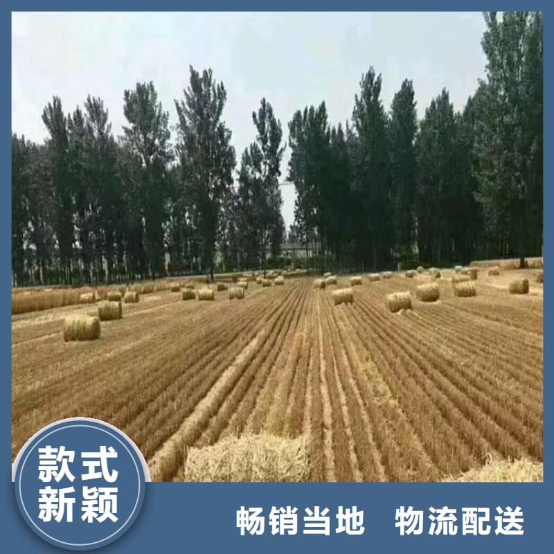 打捆机马犬质检严格放心品质